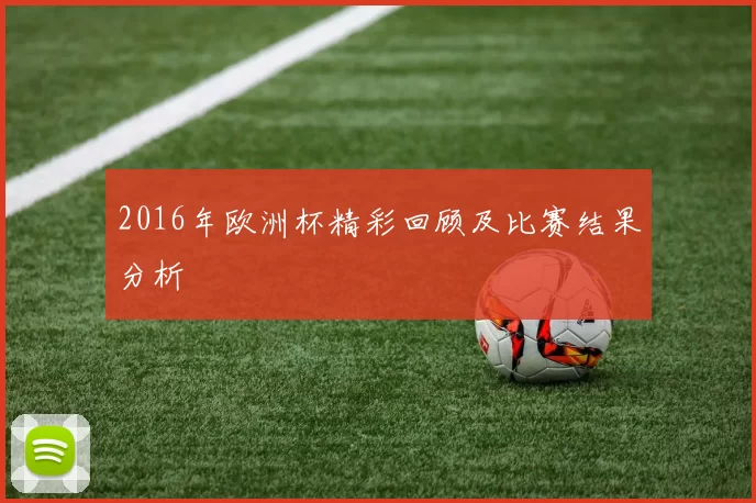 2016年欧洲杯精彩回顾及比赛结果分析